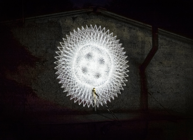 Rosone | Installation | Animal 21, Rome, 2014
